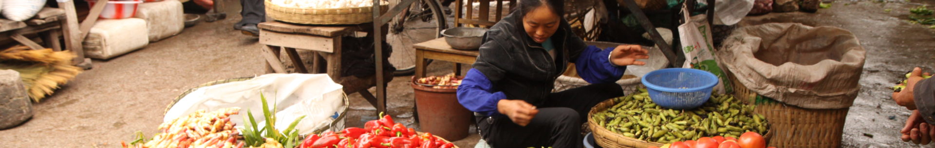 Initiative: Resource Centres on Urban Agriculture and Food Security - South and South East Asia